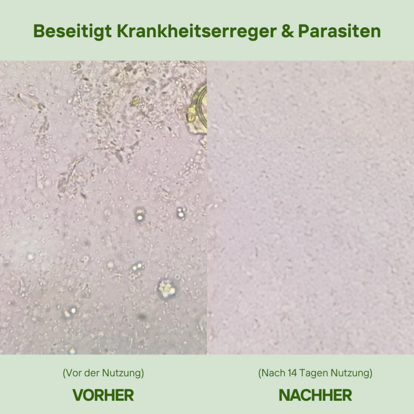 OregaMix - 2in1 Ölkomplex aus Oregano & Schwarzkümmel